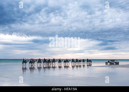 Cable Beach, Australie occidentale. Chameaux sur la plage au coucher du soleil Banque D'Images