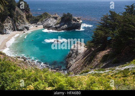 McWay Falls à Julia Pfeiffer Burns State Park,National,1,l'autoroute Pacific Coast Highway, PCH, Californie,USA Banque D'Images