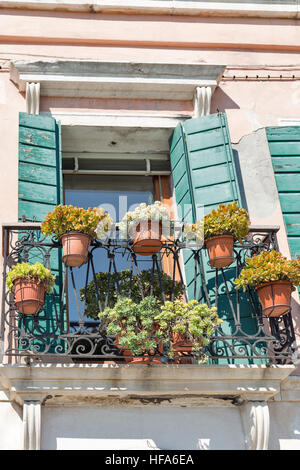 Fenêtre unique avec des plantes dans les pots et les volets sur mur orange. Murano, Venise, Italie, Europe. Banque D'Images