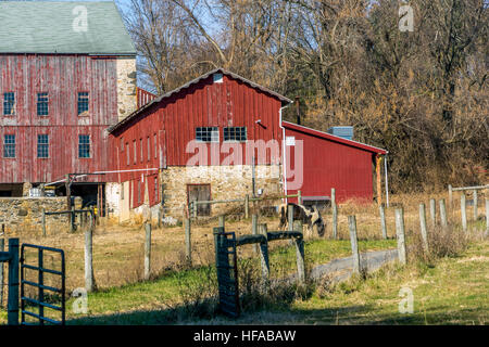 Typique d'un milieu rural de la Pennsylvanie grange construite en pierre et en bois. Red Barn peint Banque D'Images