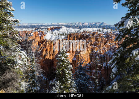Les cheminées et de pins avec la couverture de neige fraîche dans le Parc National de Bryce Canyon dans l'Utah du sud. Banque D'Images