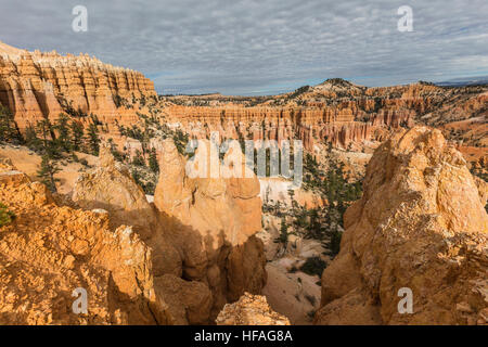 Le Parc National de Bryce Canyon hoodoo view après-midi dans le sud de l'Utah. Banque D'Images