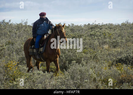 Ovejero (gaucho, Shepherd, cowboy) à cheval, Patagonie, Chili Banque D'Images