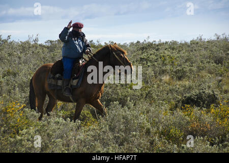 Ovejero (gaucho, Shepherd, cowboy) à cheval, Patagonie, Chili Banque D'Images