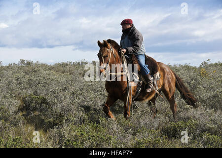 Ovejero (gaucho, Shepherd, cowboy) à cheval, Patagonie, Chili Banque D'Images