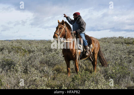 Ovejero (gaucho, Shepherd, cowboy) à cheval, Patagonie, Chili Banque D'Images