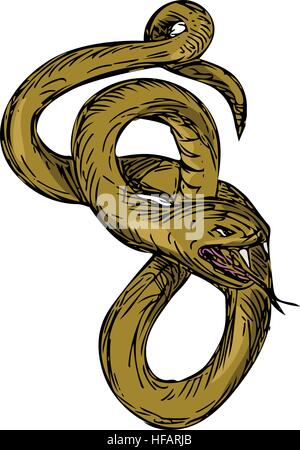Style croquis dessin illustration d'un serpent viper enrouler les serpentins avec la bouche ouverte et la langue dehors prêt à bondir sur fond blanc isolé. Illustration de Vecteur