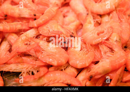 Crevettes crevettes fruits de mer palourdes palourdes coques barnacle limpet close up Banque D'Images