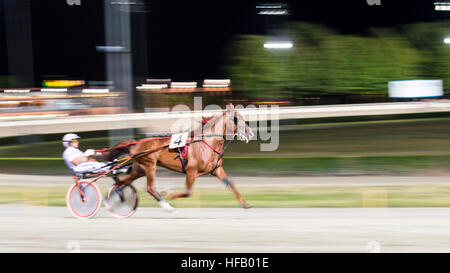 - Effet panoramique photo floue nuit course de chevaux historique Banque D'Images