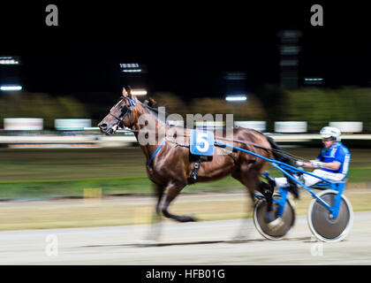 - Effet panoramique photo floue nuit course de chevaux historique Banque D'Images