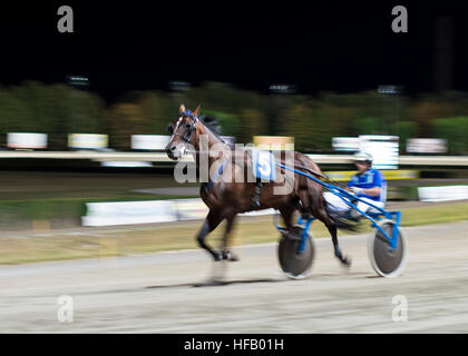 - Effet panoramique photo floue nuit course de chevaux historique Banque D'Images