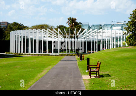 Le Calice - Jardin botanique de Sydney - Australie Banque D'Images