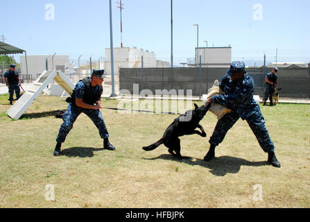 110707-N-QL533-001 La baie de Souda, la Grèce (7 juillet 2011) maître d'armes Nicolas marin moustache, gauche, effectue des exercices d'entraînement de routine avec son chien de travail militaire, Betty, bien que maître d'armes de 1re classe Carlton Kornegay agit comme un agresseur. (U.S. Photo par marine Spécialiste de la communication de masse 2e classe Cayman Santoro/libérés) - Imagerie de la marine américaine - Master-at-Arms Seaman Nicholas moustaches, gauche, effectue des exercices de formation militaire avec son chien de travail. Banque D'Images