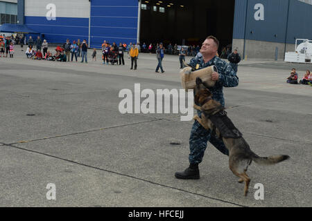 Master-at-Arms 1re classe Kenneth Spade, de Harker Heights, Texas, et Fien, un chien de travail militaire, effectue une démonstration pour les clients pendant Naval Air Station Whidbey Island (NASWI) open house. La journée portes ouvertes offre au grand public la possibilité d'interagir avec les marins et en savoir plus sur le rôle de l'NASWI tant dans la communauté et de la Marine. (U.S. Photo par marine Spécialiste de la communication de masse 2e classe John Hetherington) NAS Whidbey Island ouvertes 140719-N-DC740-060 Banque D'Images