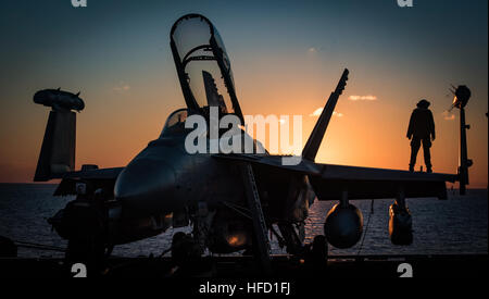 Mer Méditerranée (déc. 11, 2016) Maître de 3e classe Alexis Rey, de Stratford, Connecticut), effectue des vérifications avant vol sur un EA-18G Growler affecté à l'Escadron d'attaque électronique de zappeurs (VAQ) 130 sur le pont du porte-avions USS Dwight D. Eisenhower (CVN 69). Dwight D. Eisenhower, actuellement déployé dans le cadre du groupe aéronaval d'Eisenhower, mène des opérations navales dans la sixième flotte américaine zone d'opérations à l'appui de la sécurité nationale des États-Unis en Europe. (U.S. Photo de la marine du Maître de 2e classe Ryan/Kledzik)Parution 161211-N-U653-189 Rejoindre les conv Banque D'Images