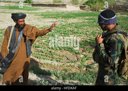 Un membre de la police locale afghane parle d'une armée nationale afghane à l'extérieur d'un soldat des forces spéciales en Tagaw point ALP, district de la province d'Uruzgan, Afghanistan, le 14 avril. Les soldats se rendent régulièrement dans la zone de contrôle du d'évaluer l'état du ALP et déterminer si la police a besoin de ressources supplémentaires ou d'actifs pour maintenir la sécurité au niveau du village. Tagaw ANASF tour de contrôle 120414 ALP-N-JC271-162 Banque D'Images