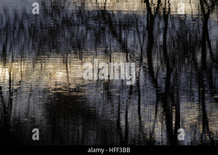 Le loch Lomond ondulations et réflexions sur l'eau du soir Banque D'Images