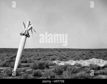 Corps Nez Free-Falling Dives in Desert 001624 Banque D'Images