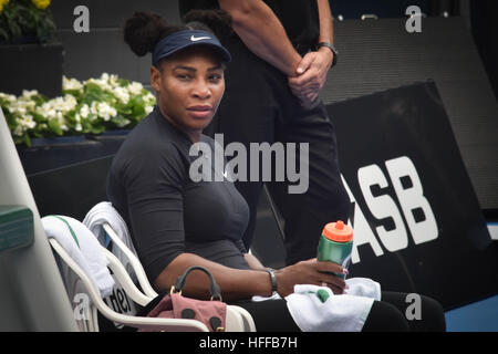 Auckland, Nouvelle-Zélande. 30Th Dec 2016. tennis super start Serena Williams lors d'une séance de formation à l'ASB Tennis Centre, Auckland, Nouvelle-Zélande. Il est prévu pour jouer au tournoi de tennis ASB Classic commence le lundi 2 janvier © Shirley Kwok/Pacific Press/Alamy Live News Banque D'Images