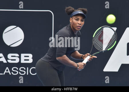 Auckland, Nouvelle-Zélande. Déc 30, 2016. Super star de tennis Serena Williams lors d'une séance de formation à l'ASB Tennis Centre, Auckland, Nouvelle-Zélande. Il est prévu pour jouer au tournoi de tennis ASB Classic commence le lundi 2 janvier © Shirley Kwok/Pacific Press/Alamy Live News Banque D'Images