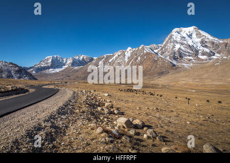 Route de montagne Himalaya chopta vallée entourée de montagnes enneigées et stérile de pâturage le pâturage pour yack sauvage. Banque D'Images