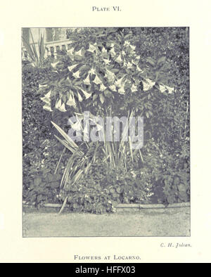Le journal d'une tournée à l'Uppe Engadine et le nord de l'Italie, faite à l'été 1898 Image prise à partir de la page 141 de "Le journal d'un Banque D'Images