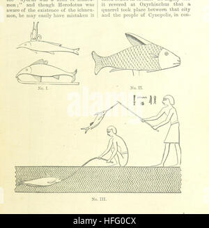 Cette image tirée de 'L'histoire d'Hérodote' offre une nouvelle traduction anglaise, éditée avec de nombreuses notes et annexes, reflétant les progrès dans l'étude du cunéiforme et des hiéroglyphes. Banque D'Images