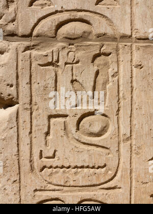 Cartouche dans le temple funéraire de Seti I sur la rive ouest du Nil à Louxor, Égypte, Afrique du Nord Banque D'Images