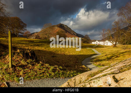 Un sentier à travers Easedale vers Helm Crag, près de Grasmere, Lake District, Cumbria Banque D'Images