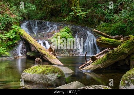 Le sentier du ruisseau Holland dans Ladysmith BC Banque D'Images