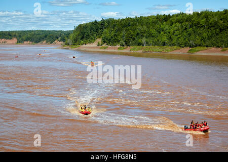 Tidal Bore Rafting, rivière Shubenacadie, Maitland, en Nouvelle-Écosse, Canada Banque D'Images