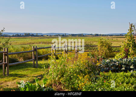 Terres, Grand Pré, Annapolis Valley, Novia Scotia, Canada Banque D'Images