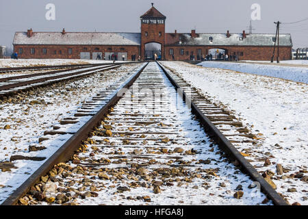 Au début de 1943, les Nazis ont décidé d'augmenter considérablement la capacité de gazage de Birkenau. Crématorium II, initialement conçu comme une morgue, avec morgue Banque D'Images