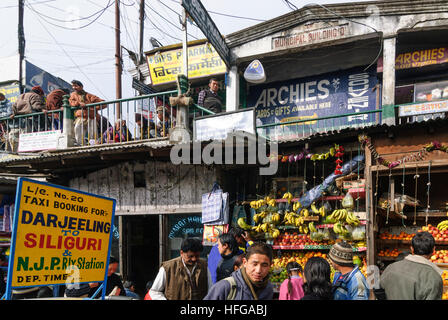 Darjeeling : Chowk Bazar, Bengale occidental, Inde, Westbengalen Banque D'Images