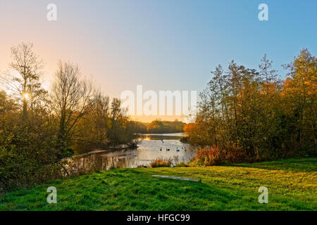 Par un froid matin d'automne le soleil brille à travers le dessus des arbres se reflétant sur l'eau et à travers un casting shadows lac et ses rives Banque D'Images