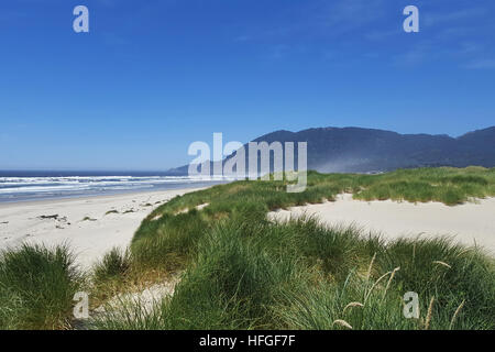 Couvre l'herbe dans les dunes de l'océan Pacifique seascape spectaculaire plage de Nehalem Bay State Park, Nehalem, Oregon près de la Manzanita. Banque D'Images