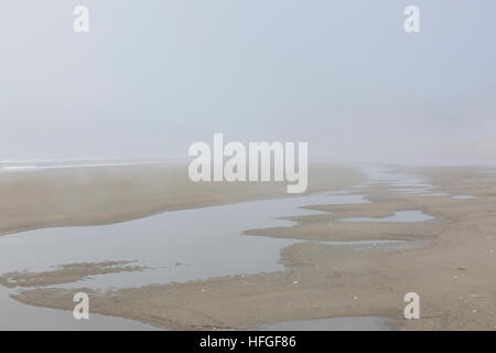 Deux promenades dans le brouillard sur Bonge Beach, près de Westport, New York. Banque D'Images