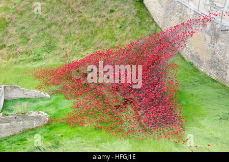 La vague de pavot, d'installation des murs, Château de Lincoln. L'artiste Paul Cummins, designer Tom Piper. Banque D'Images