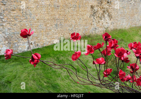 Une partie de l'installation de l'onde du pavot à Château de Lincoln. L'artiste Paul Cummins. Designer Tom Piper. Banque D'Images