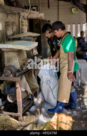 Fabrication de glace. Les travailleurs qui utilisent des machines pour fabriquer de la glace concassée pour la conservation des aliments sur le marché local du poisson. Thaïlande S. E. Asie Banque D'Images