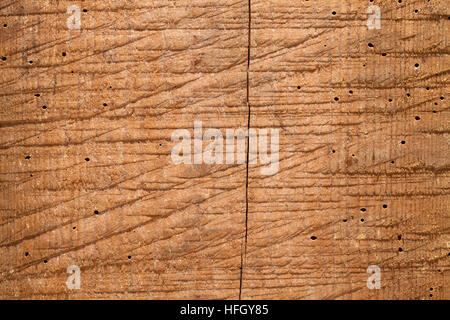 Vieux bois texture background, mordu par un scolyte. Banque D'Images