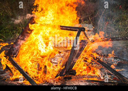 La photo en gros plan de la combustion de bois de feu Banque D'Images