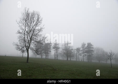 Royaume-uni - Un épais brouillard dans le nord de Londres, Finsbury Park, UK, 30 décembre 2016 - Un épais brouillard s'attarde sur tout au long de la journée à Finsbury Park, au nord de Londres, l'avant-dernier jour de 2016. Credit : Dinendra Haria/Alamy Live News Banque D'Images