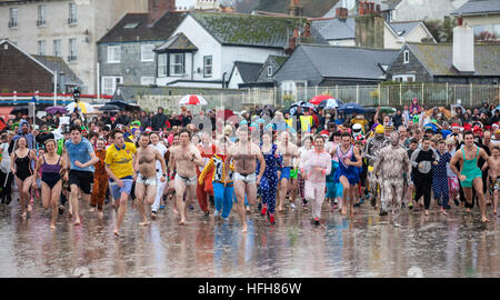 Des centaines se sont déguisés en dépit de la pluie pour prendre part à la "fente de Lyme' - un jour de l'an 2016 nager à Lyme Regis Banque D'Images