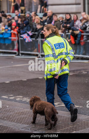 Londres, Royaume-Uni. 1er janvier 2017. La sécurité a été discrète avec chiens renifleurs en patrouille et les petites rues bloquées par la police cars - le New Years day parade passe à travers le centre de Londres Piccadilly formulaire à Whitehall. Londres 01 Jan 2017 © Guy Bell/Alamy Live News Banque D'Images