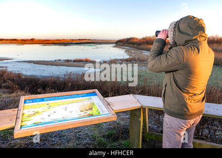 Observation des oiseaux, ou observation des oiseaux, ornithologues, jumelles d'observation de la faune, lunettes, optique, trépieds à Southport, Merseyside. Météo au Royaume-Uni : 2 janvier 2016. Pour bien commencer la journée par temps froid, un ornithologue regarde à travers des jumelles la vue imprenable sur 'Fairclough's Pool' à Marshside près de Southport. © Cernan Elias/Alay Live News Banque D'Images