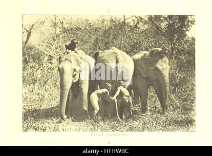 S.a.r. le duc de Clarence et Avondale dans le sud de l'Inde. Par J. D. Rees ... Avec un récit de la capture des éléphants à Mysore par G. P. Sanderson ... Avec des cartes, des portraits et des illustrations image prise à partir de la page 185 de "Son Altesse Royale le duc de Banque D'Images