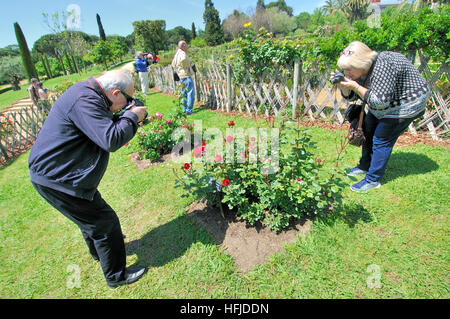 Concours de Roses. Cervantes, Parc de Cervantes, quartier de Pedralbes, district de Les Corts, Barcelone, Catalogne, Espagne Banque D'Images