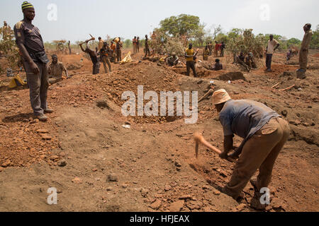 La mine d'or Sanana, Guinée, 2 mai 2015 ; mineurs creusant leurs parcelles dans la chaleur de la saison sèche. Banque D'Images