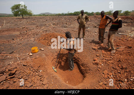 La mine d'or Sanana, Guinée, 2 mai 2015 ; creuser tandis que d'autres paient un homme avec un détecteur de métal pour vérifier leur sol. Banque D'Images